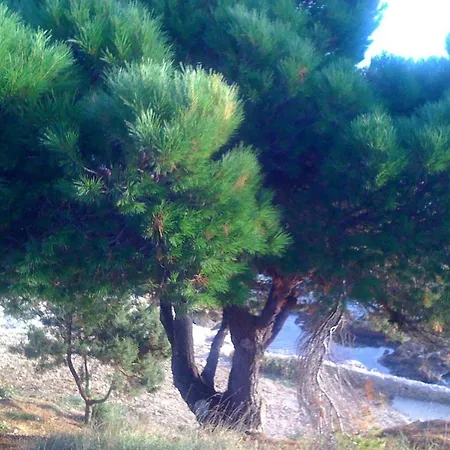 Pelegrin - With Sea View Appartement Zavala